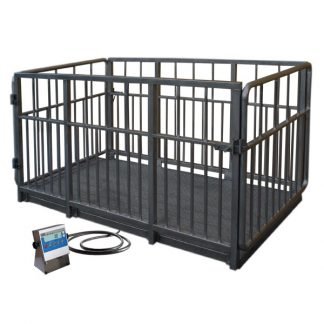 WPT 4I/S livestock scales