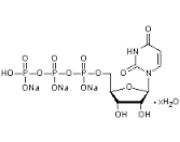 Uridine 5-Triphosphate Trisodium Salt Dihydrate (UTP-Na3) extrapure, 96%