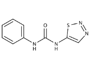 Thiamine Hydrochloride pure, 98.5%