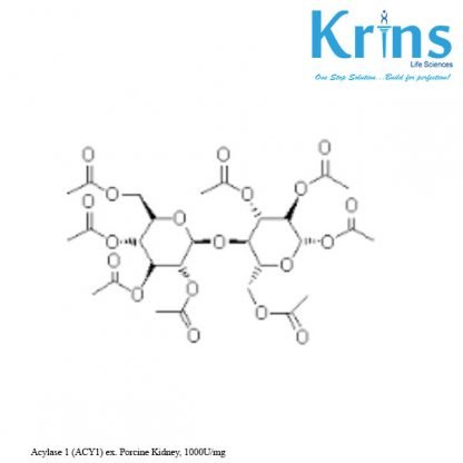 acylase 1 (acy1) ex. porcine kidney, 1000u mg