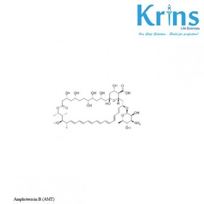 amphotericin b (amt)