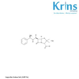 ampicillin sodium salt (amp na)