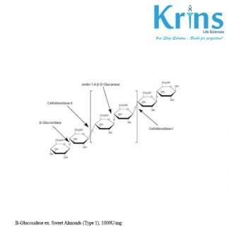 b glucosidase ex. sweet almonds (type 1),1000u/mg