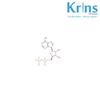 pyruvate kinase ex. rabbit muscle, 100u/mg