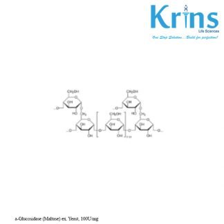 a glucosidase (maltase) ex. yeast, 100umg